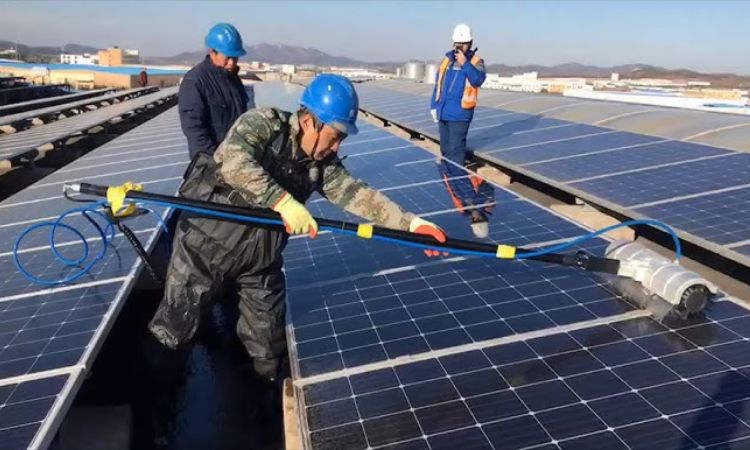 chổi rửa pin mặt trời